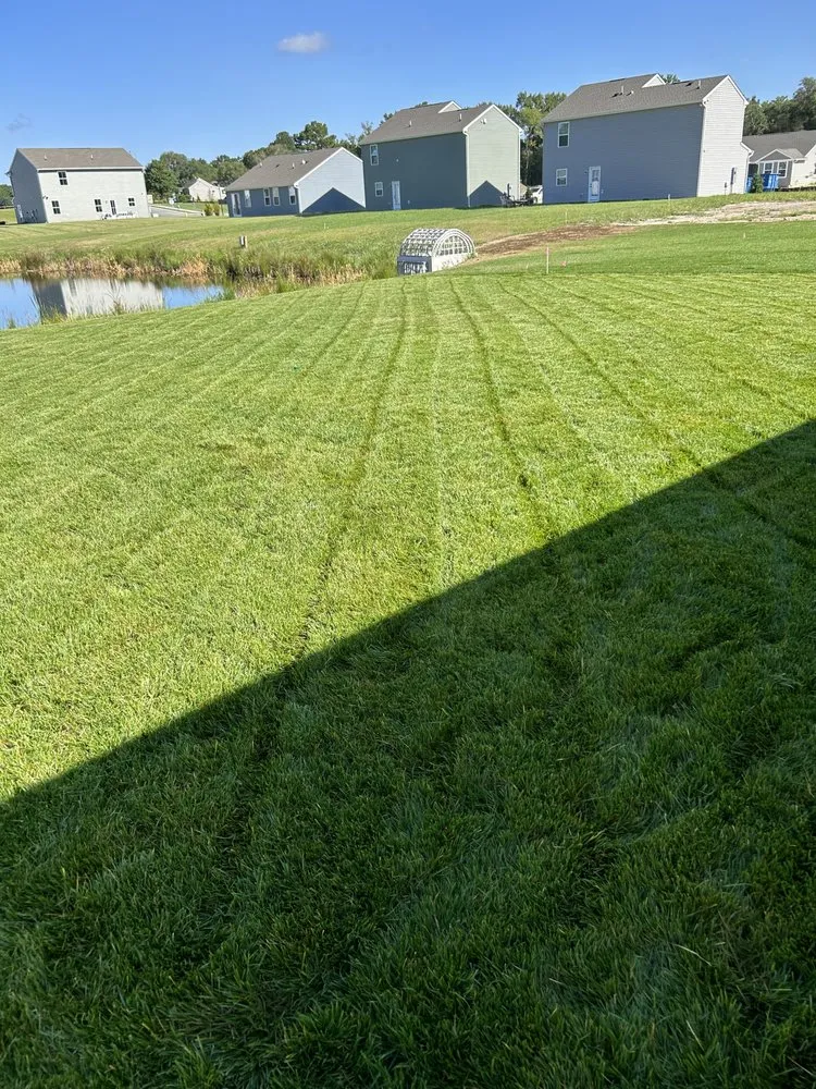 Local landscape design in Frankford, DE - Prodigy Landscaping