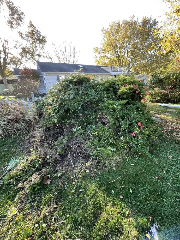 Expert landscape design for year-round maintenance in Frankford, DE by Prodigy Landscaping