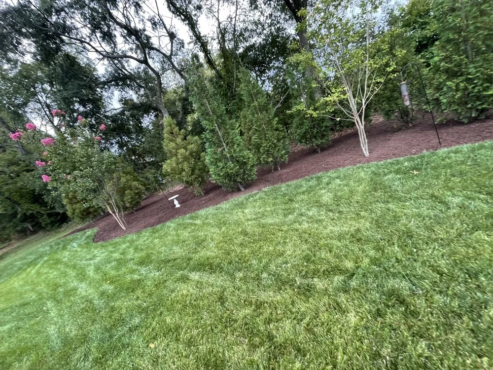 Reliable landscape installation experts serving Frankford, DE - Prodigy Landscaping