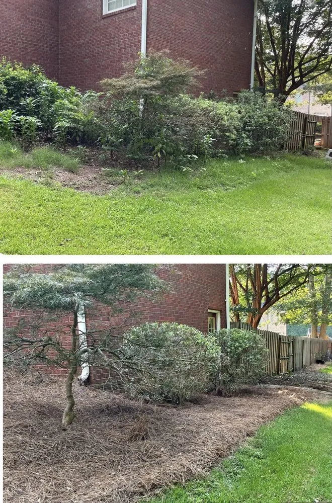 Affordable lawn care service in Watkinsville, GA - Prodigy Lawn Maintenance