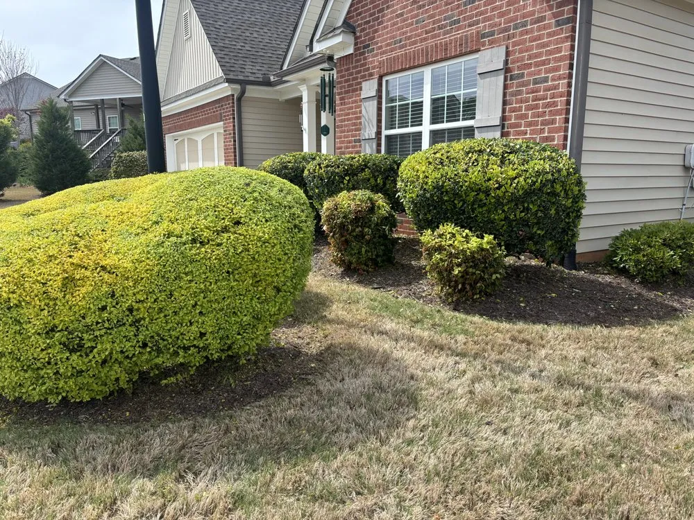 Custom yard cleanup service in Watkinsville, GA - Prodigy Lawn Maintenance