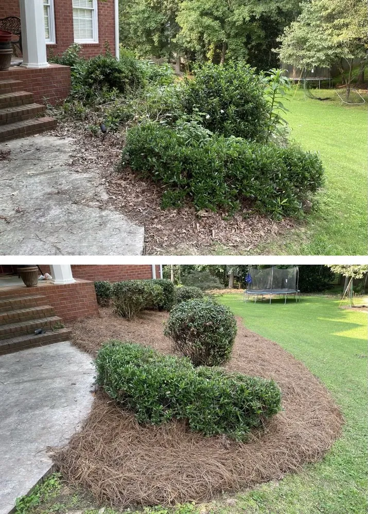 Custom lawn care service for beautiful yards across Watkinsville, GA - Prodigy Lawn Maintenance
