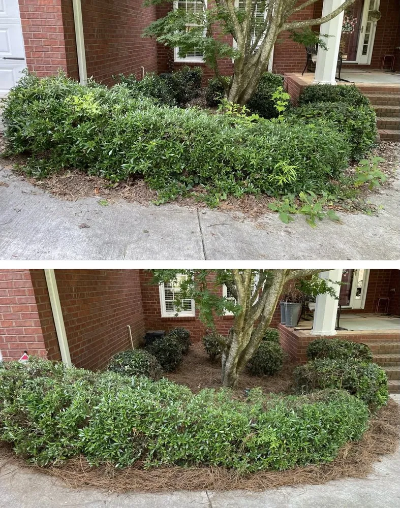 Custom lawn mowing service in Watkinsville, GA by Prodigy Lawn Maintenance