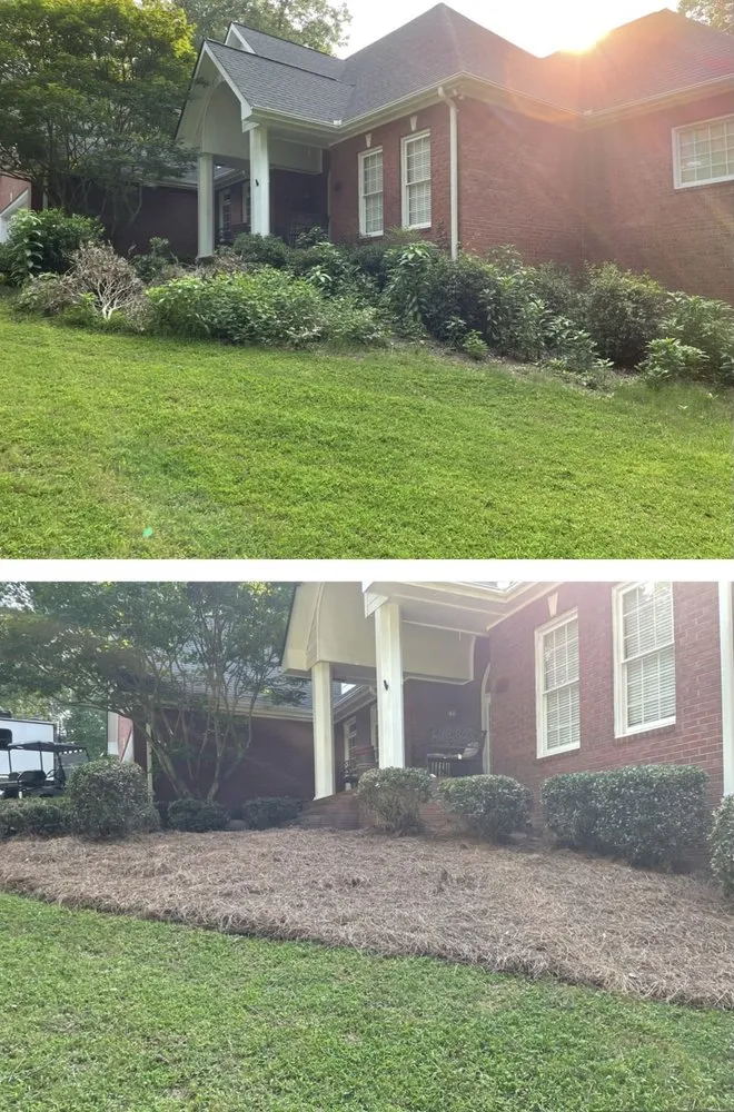Expert residential landscaping for beautiful yards across Watkinsville, GA - Prodigy Lawn Maintenance