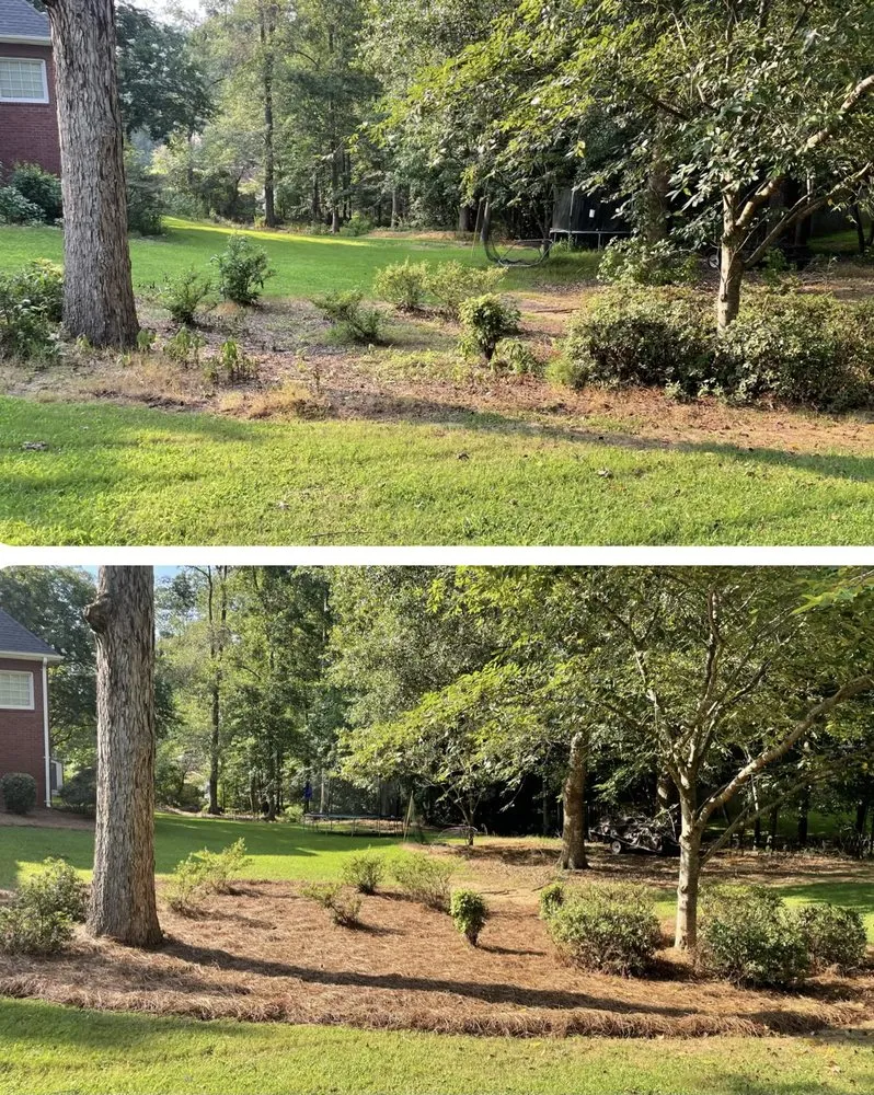 Professional lawn mowing service experts serving Watkinsville, GA - Prodigy Lawn Maintenance