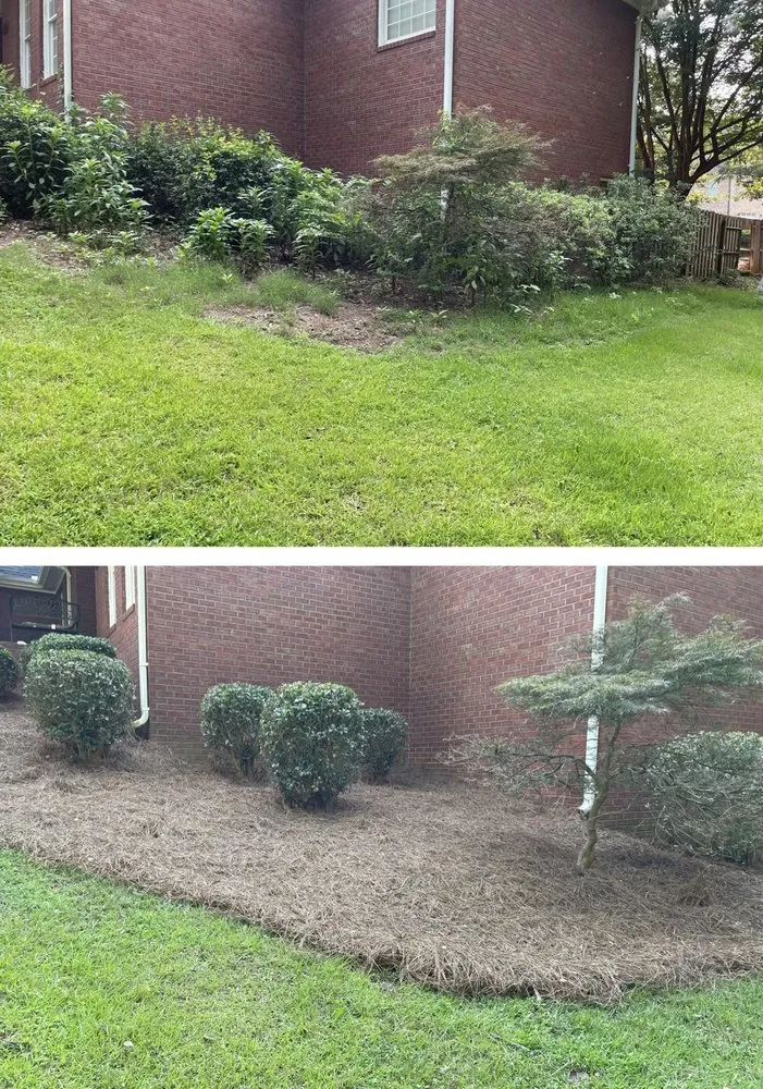 Expert yard cleanup service for homes in Watkinsville, GA by Prodigy Lawn Maintenance
