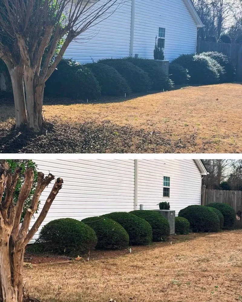 Top-rated lawn care service in Watkinsville, GA by Prodigy Lawn Maintenance