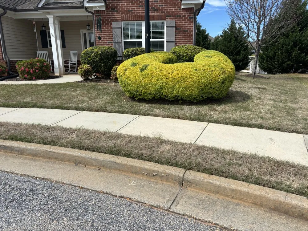 Custom yard cleanup service in Watkinsville, GA by Prodigy Lawn Maintenance