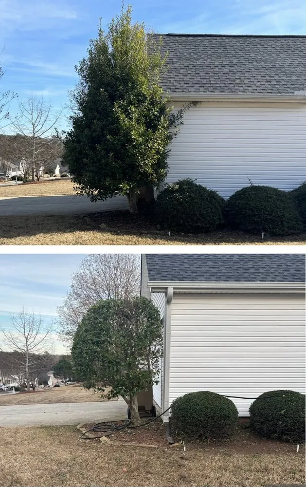 Professional landscape design in Watkinsville, GA - Prodigy Lawn Maintenance