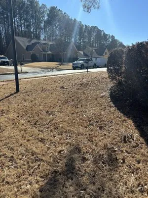 Prodigy Lawn Maintenance Logo