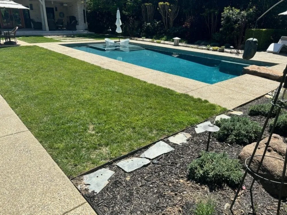 Top-rated landscape design in Woodland, CA - Prodigy Pest Management