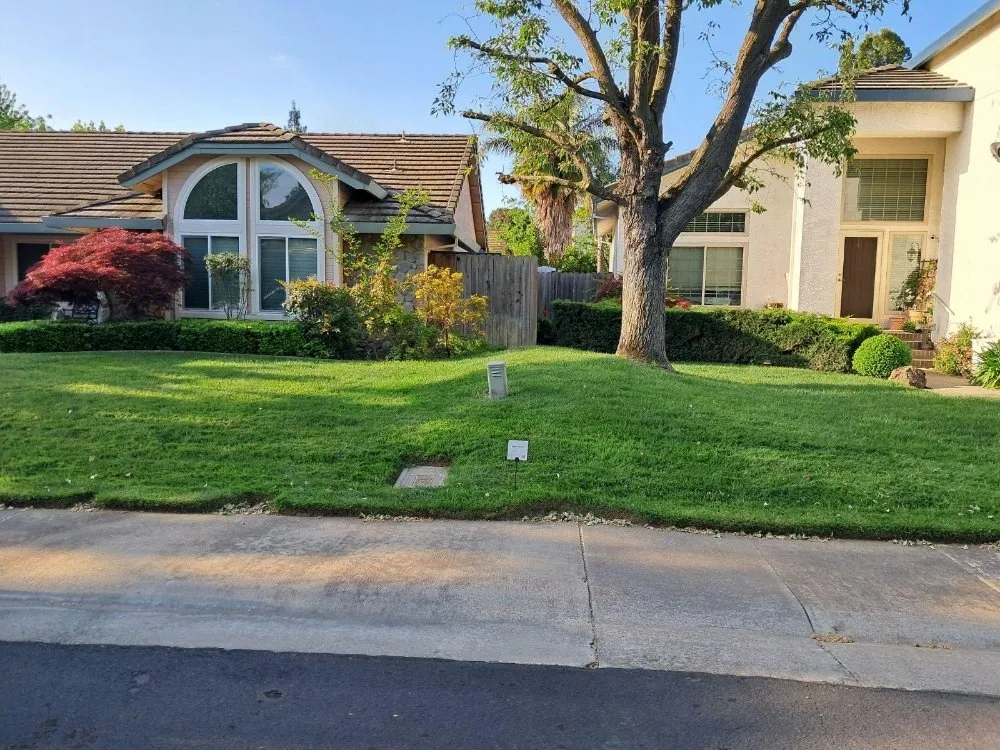 Affordable landscaping services in Woodland, CA by Prodigy Pest Management