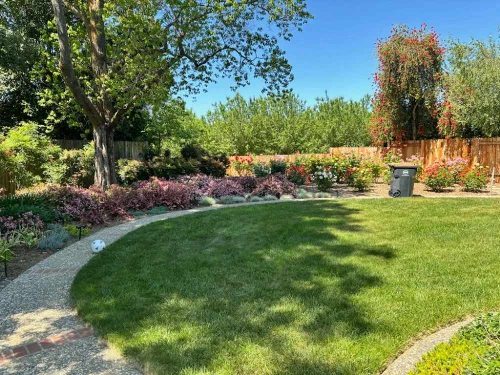 Affordable landscape design in Woodland, CA - Prodigy Pest Management