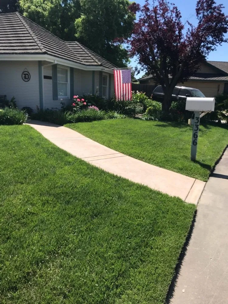 Local outdoor landscaping for year-round maintenance across Woodland, CA - Prodigy Pest Management