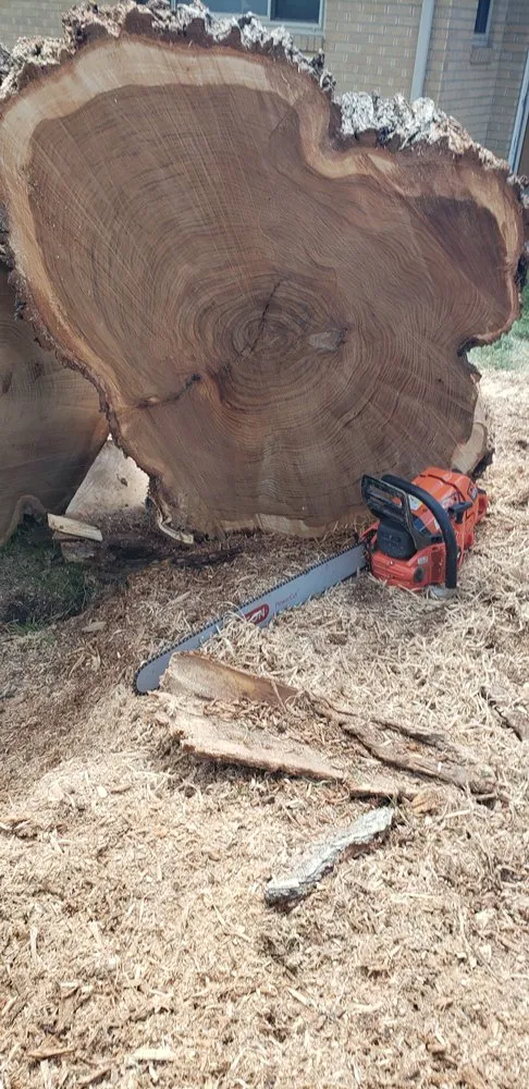 Affordable landscaping services for year-round maintenance across Arvada, CO - Prodigy Tree Care