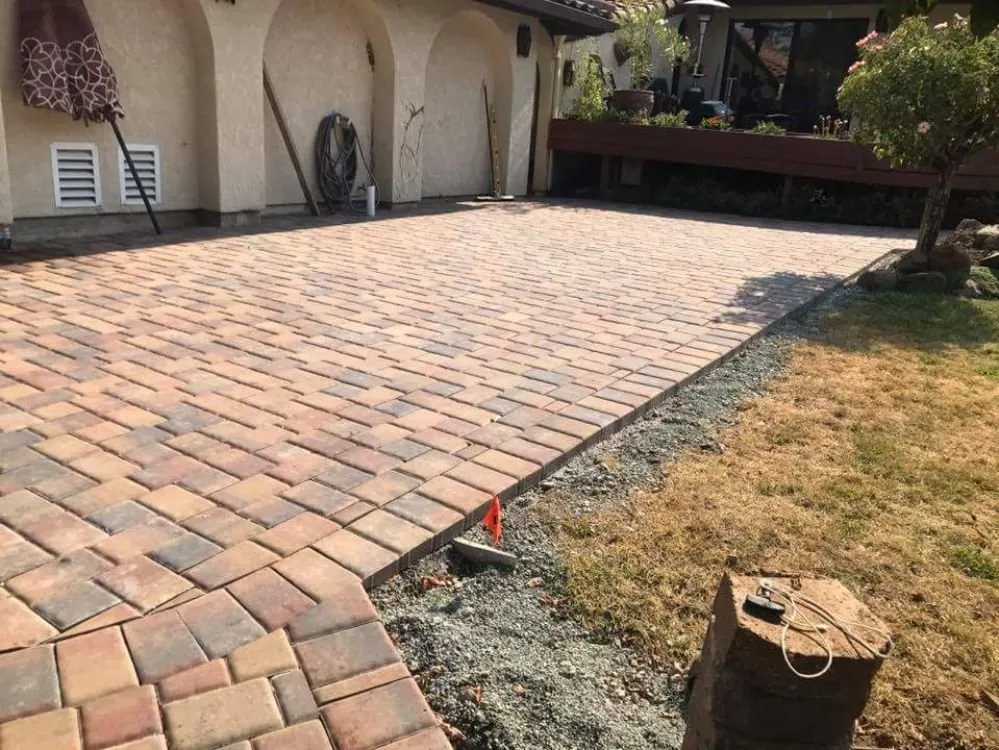 Affordable yard maintenance for year-round maintenance in Concord, CA by Prodigy Works Tree Service