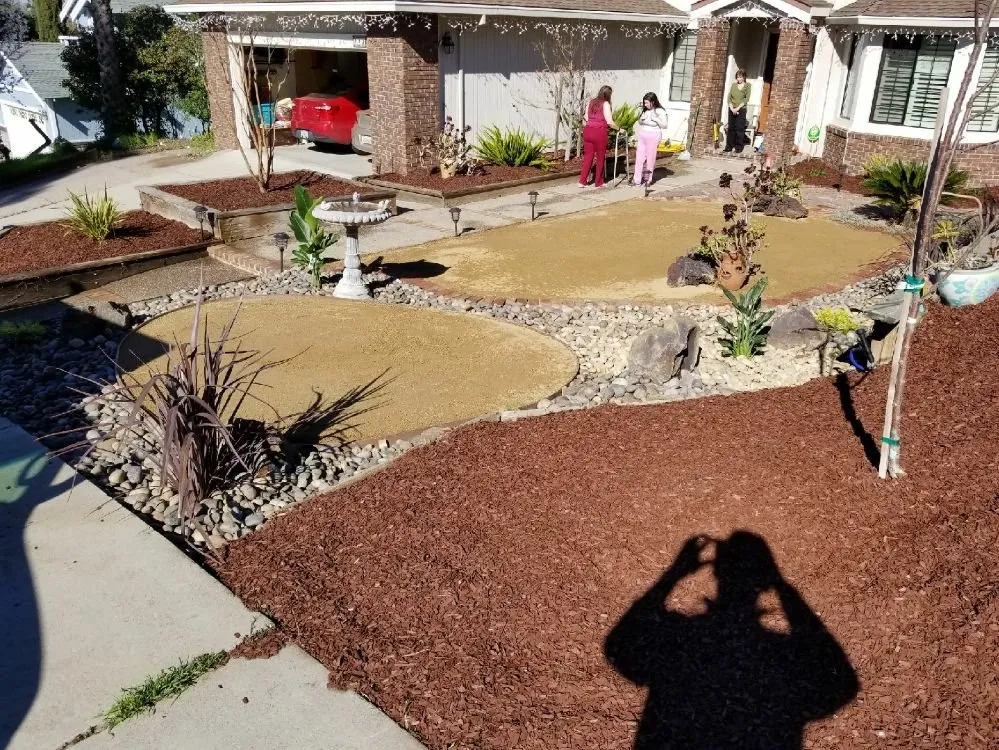 Top-rated lawn mowing service experts serving Concord, CA - Prodigy Works Tree Service