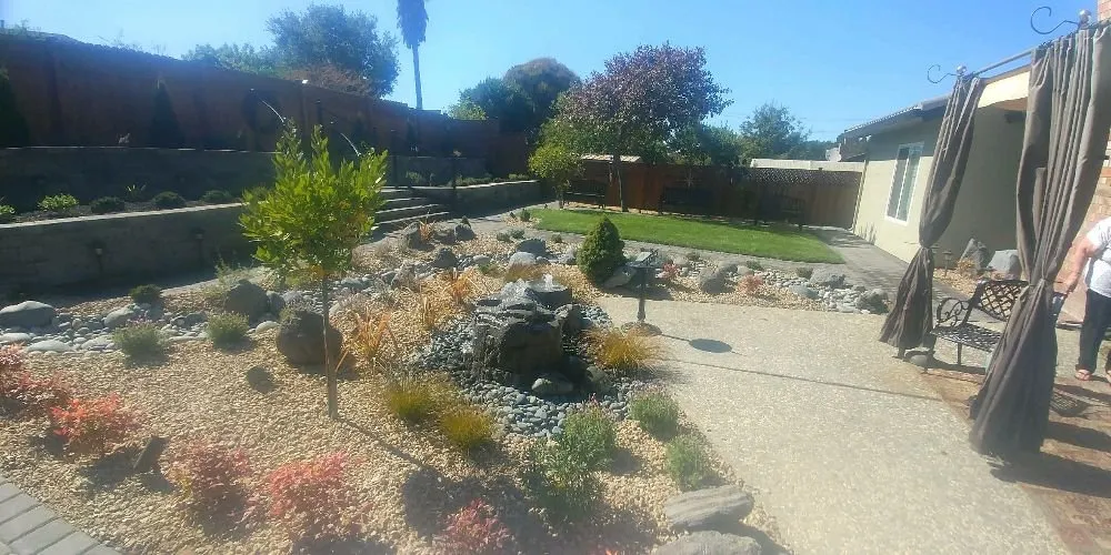 Expert lawn mowing service with custom design in Concord, CA by Prodigy Works Tree Service