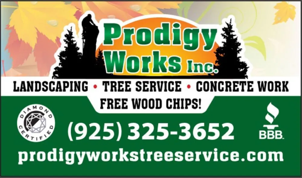 Affordable outdoor landscaping in Concord, CA by Prodigy Works Tree Service