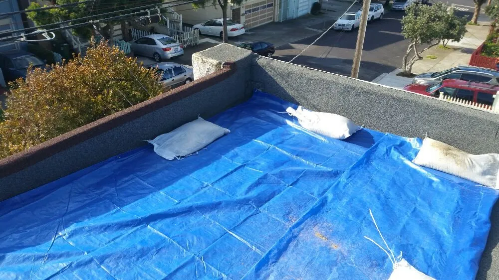 Custom lawn care service experts serving Concord, CA - Prodigy Works Tree Service