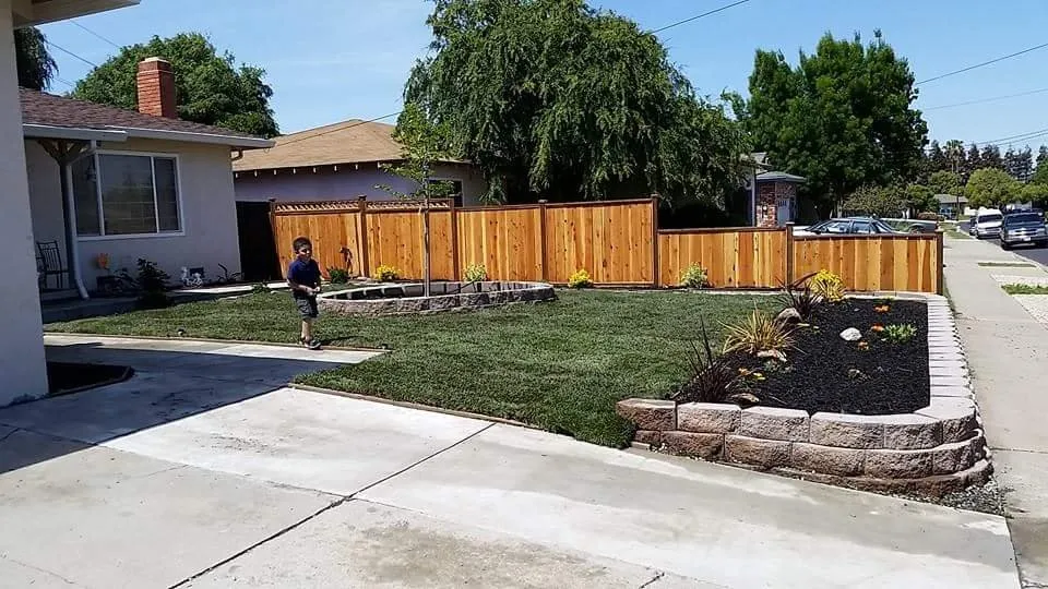 Top-rated lawn mowing service for beautiful yards across Concord, CA - Prodigy Works Tree Service
