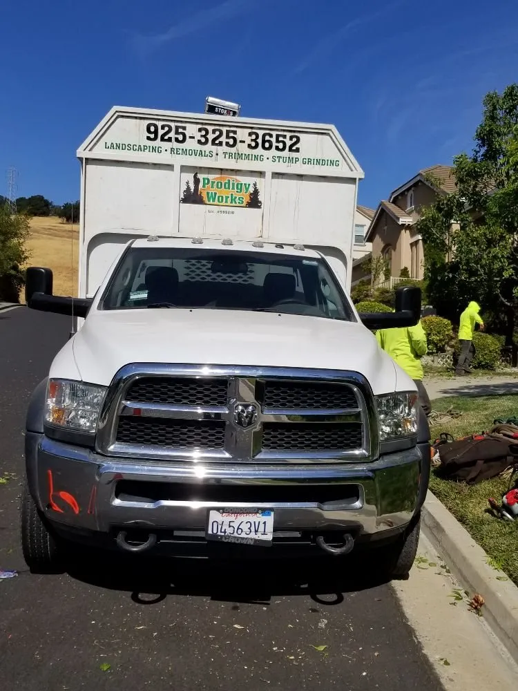 Custom landscaping services for beautiful yards across Concord, CA - Prodigy Works Tree Service