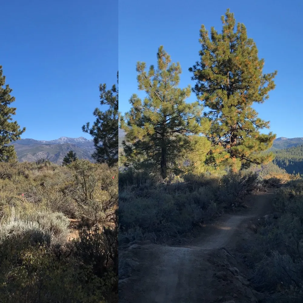 Trusted lawn care service for year-round maintenance in Reno, NV by Prodirt