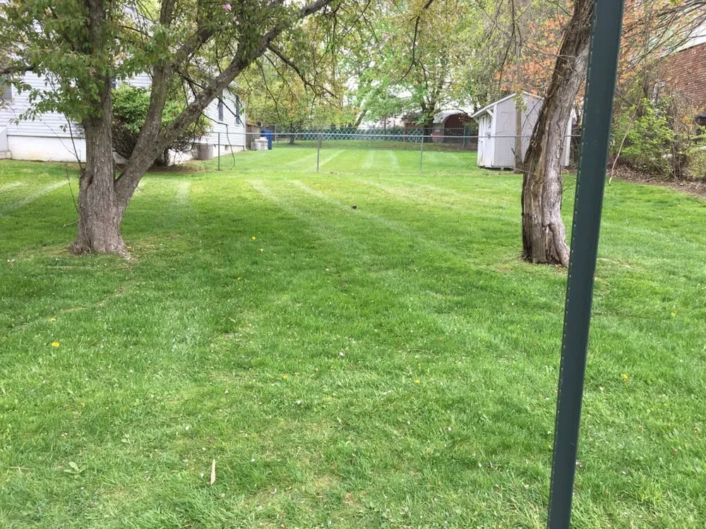 Expert yard cleanup service experts serving Bristol, PA - Productive Construction Services