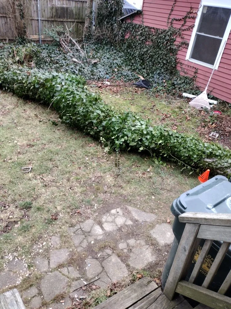 Trusted residential landscaping for beautiful yards in New London, CT by Productive services