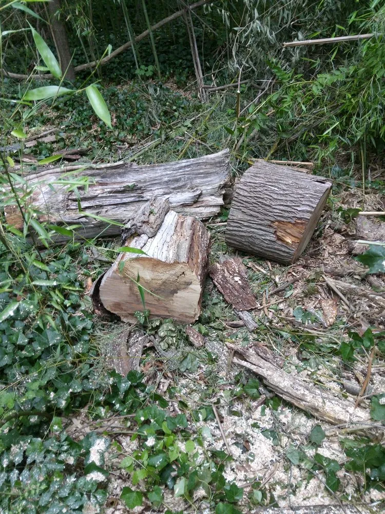 Local landscape installation for year-round maintenance in New London, CT by Productive services