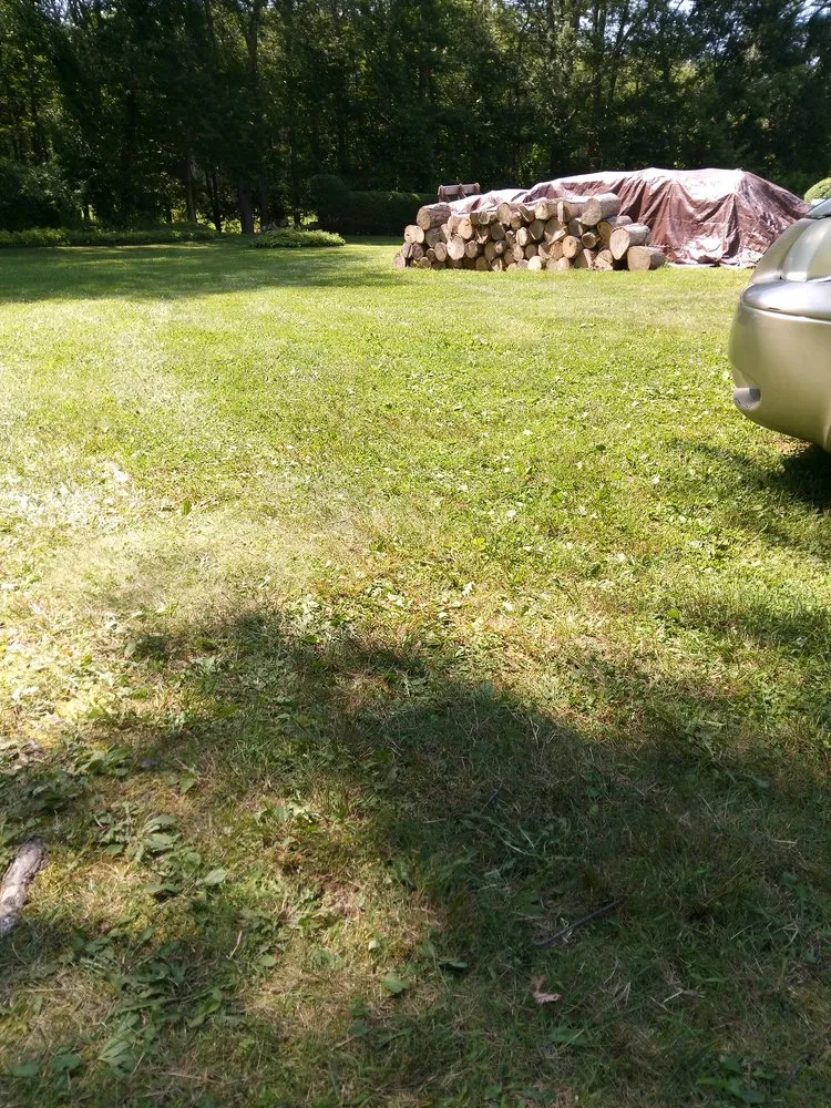 Reliable lawn mowing service in New London, CT by Productive services