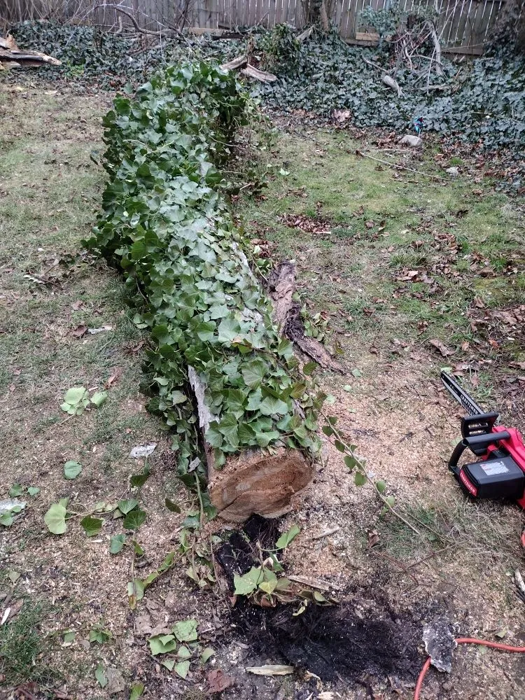 Expert garden landscaping in New London, CT - Productive services