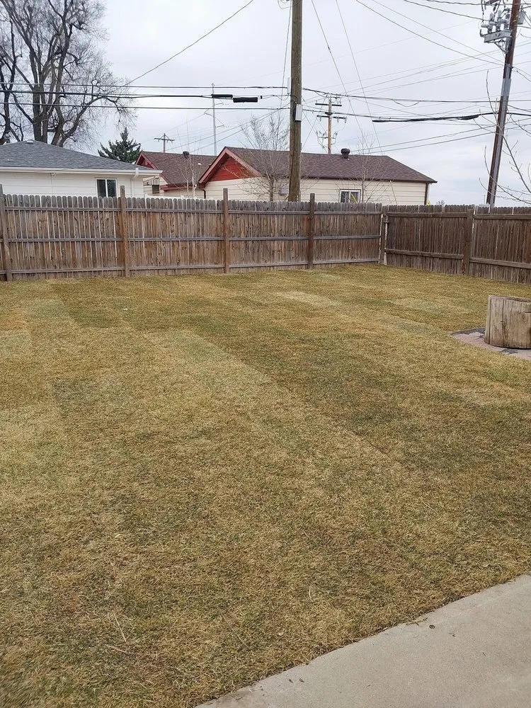 Trusted lawn care service in Greeley, CO - Productive Stone
