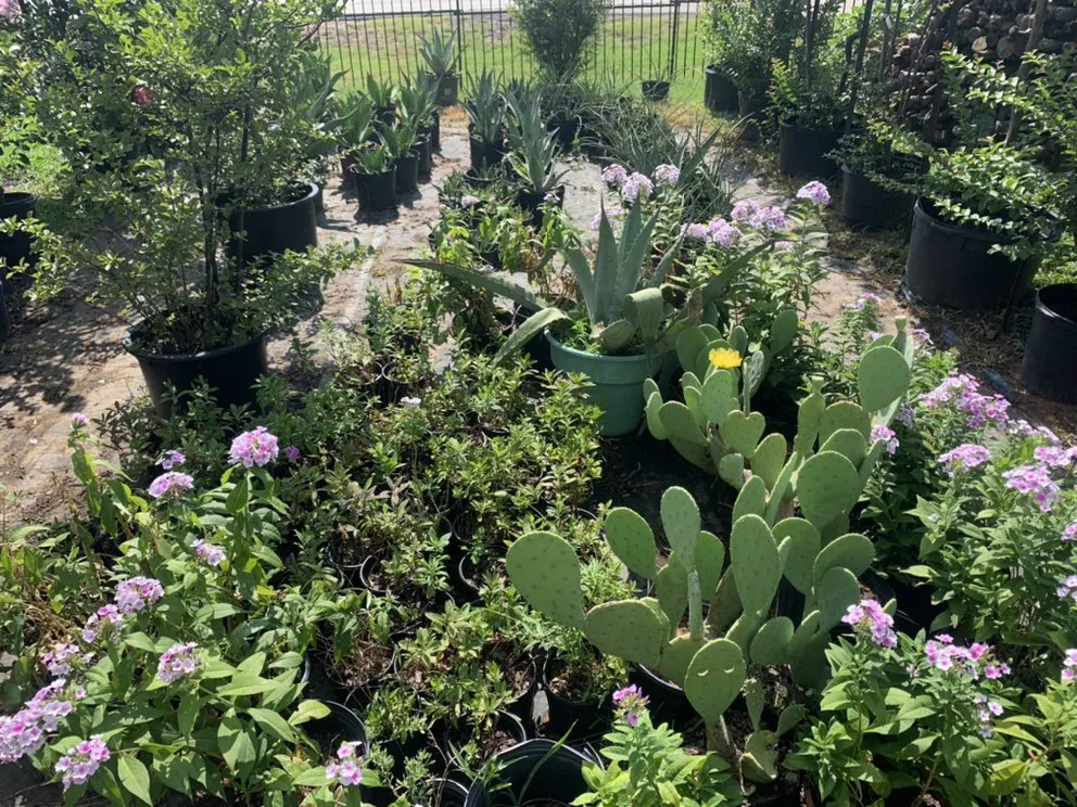 Custom yard maintenance in Argyle, TX by Productos Del Campo