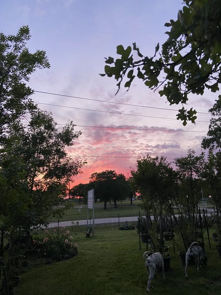 Reliable yard maintenance in Argyle, TX - Productos Del Campo