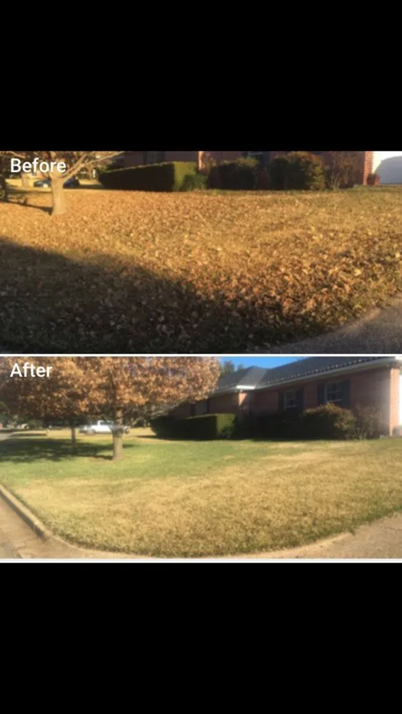 Reliable landscaping services in Waco, TX - Productsrgoodtobuy Pressure Washing Services