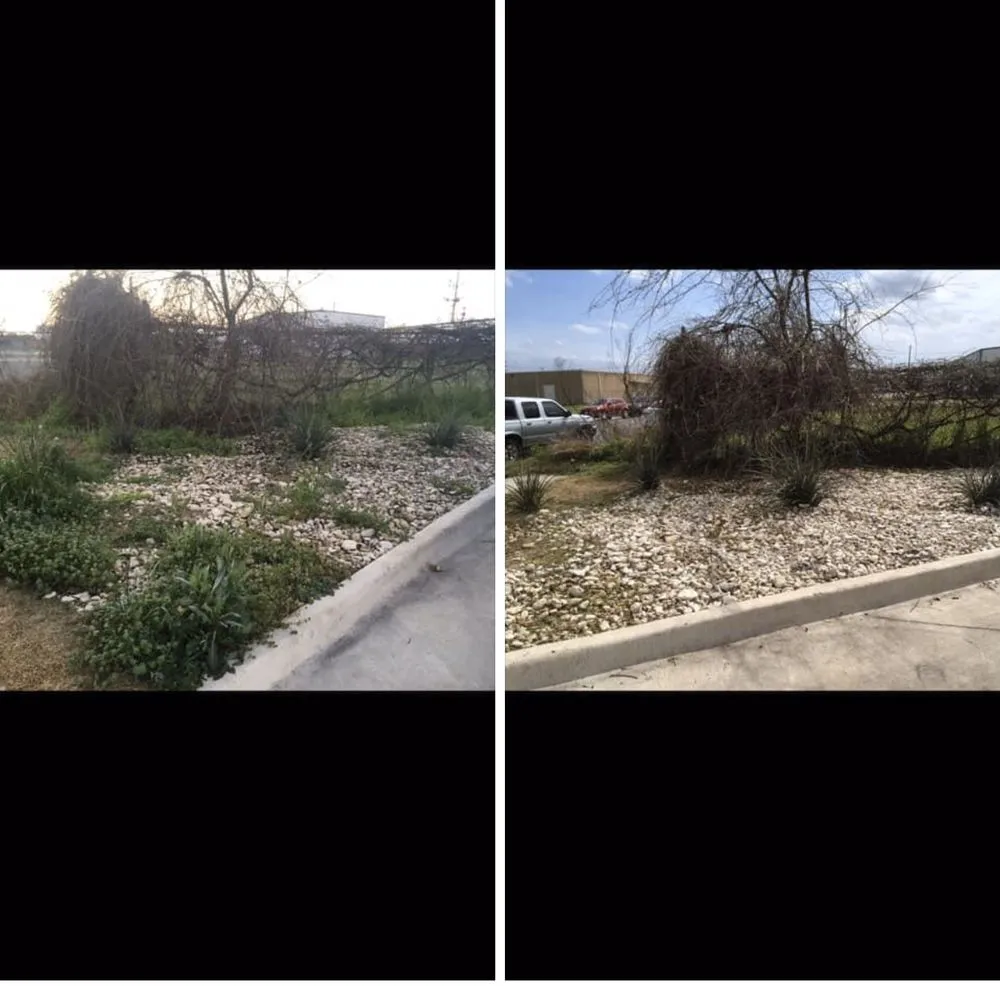 Top-rated yard cleanup service in Waco, TX by Productsrgoodtobuy Pressure Washing Services