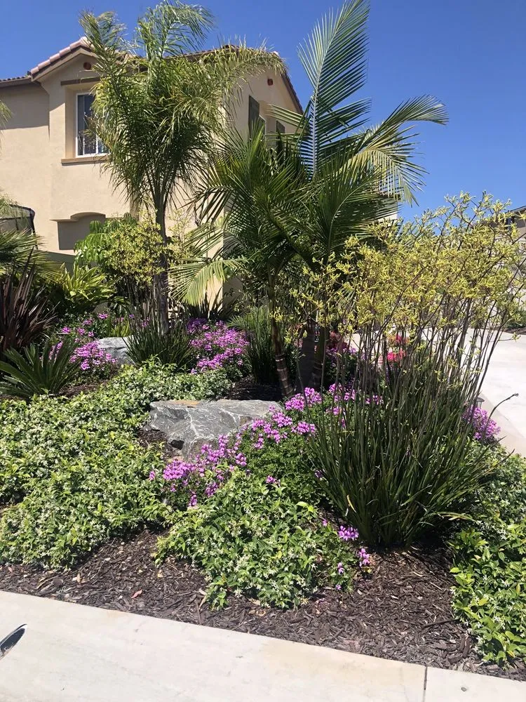 Top-rated landscaping services with custom design across Encinitas, CA - ProEarth Landscape