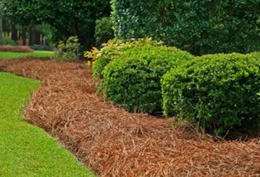 Trusted landscaping services for outdoor upgrades across Clover, SC - ProEarth Lawn Care