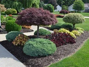 Local lawn care service for homes across Clover, SC - ProEarth Lawn Care