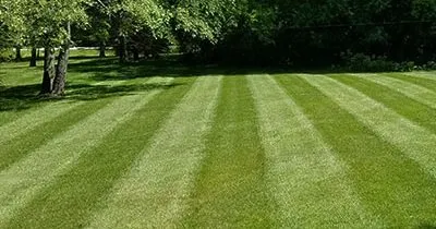 Local lawn care service for year-round maintenance across Clover, SC - ProEarth Lawn Care