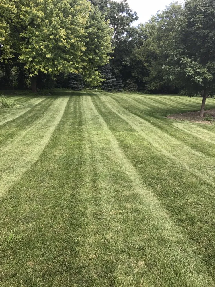 Local residential landscaping in Clover, SC - ProEarth Lawn Care