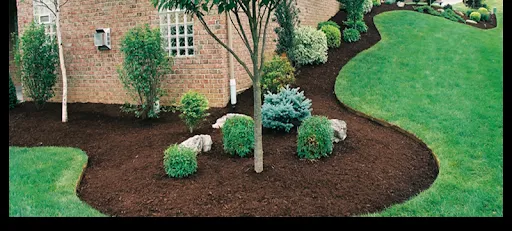 ProEarth Lawn Care Logo