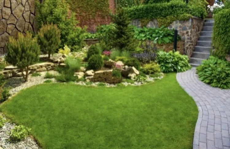 Top-rated lawn mowing service for year-round maintenance in Marina, CA by ProEdge