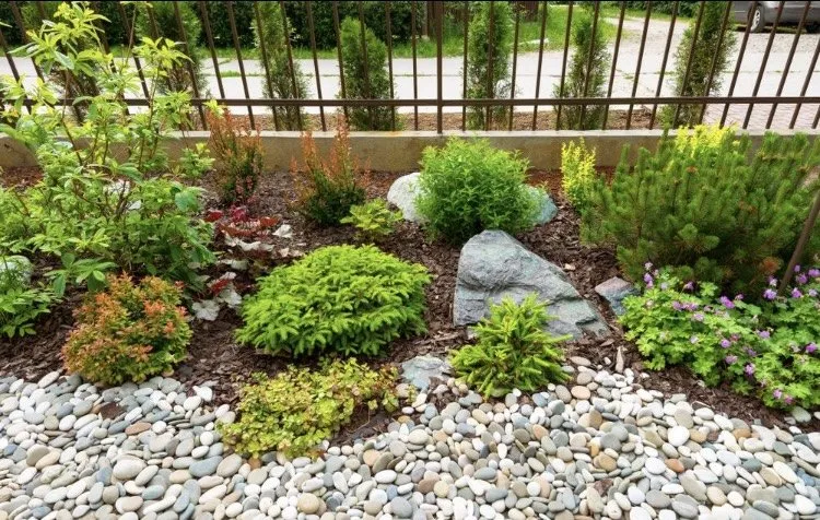 Custom landscape installation in Marina, CA by ProEdge