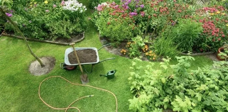 Affordable garden landscaping with custom design across Marina, CA - ProEdge