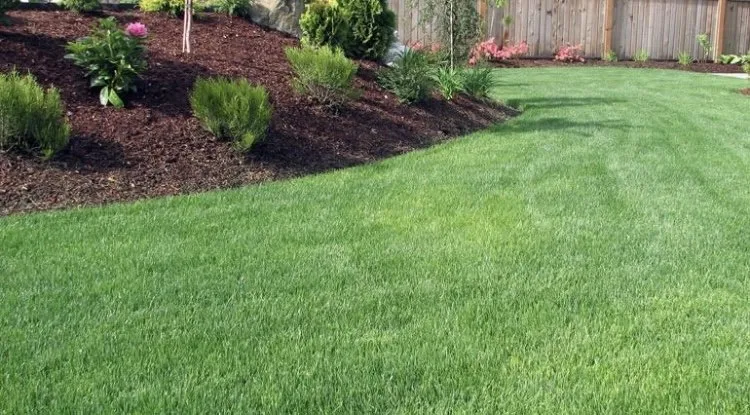 Affordable landscaping services for outdoor upgrades in Marina, CA by ProEdge