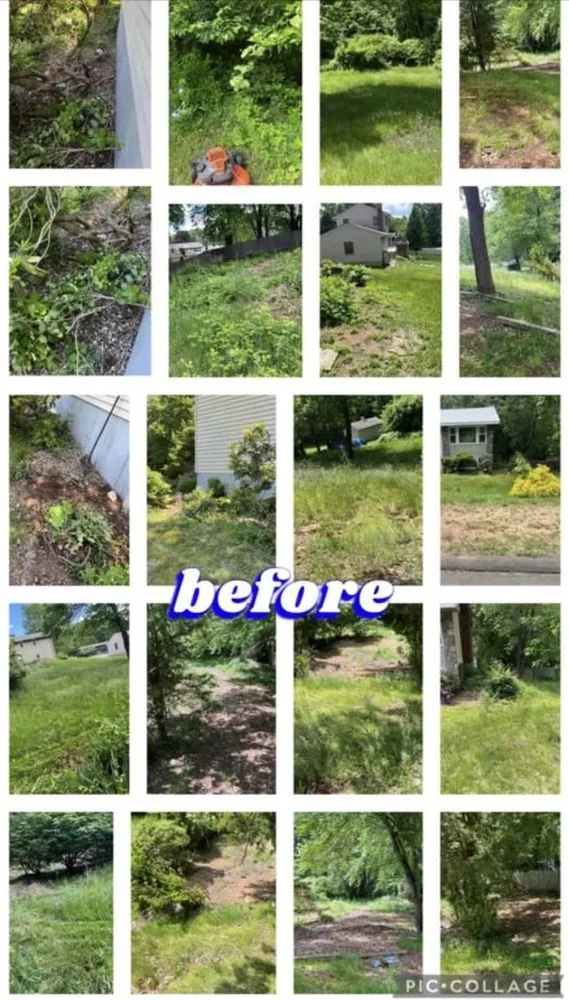 Expert landscape installation in Stafford, CT - Profession-Als Property Services