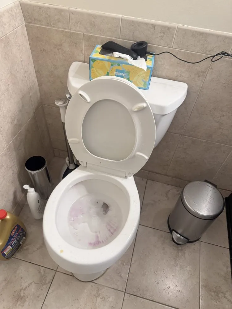 Expert yard cleanup service for residential properties across Milwaukee, WI - Professional and Commercial Cleaning