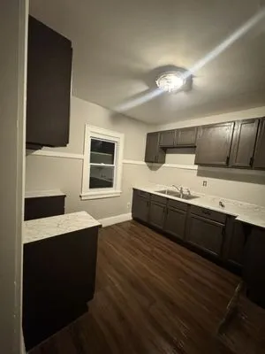 Professional and Commercial Cleaning Logo